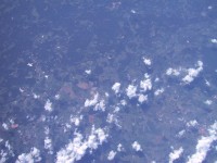 IMG_1297.jpg