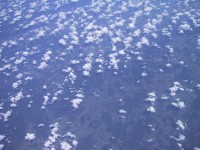 IMG_1304.jpg