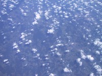 IMG_1305.jpg