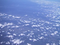 IMG_1307.jpg
