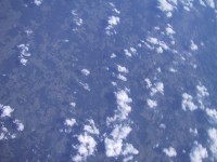 IMG_1310.jpg