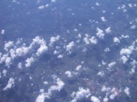 IMG_1311.jpg