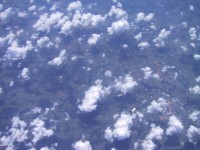 IMG_1313.jpg