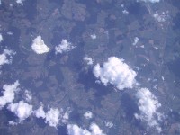IMG_1319.jpg