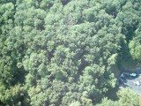 IMG_0019.jpg