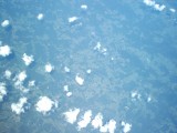 IMG_0061.jpg