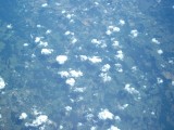 IMG_0087.jpg