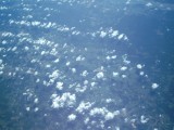 IMG_0101.jpg