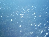 IMG_0102.jpg