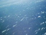 IMG_0108.jpg