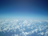 IMG_0120.jpg
