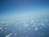 IMG_0124.jpg