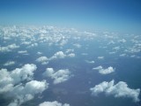 IMG_0128.jpg