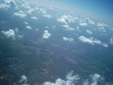 IMG_0130.jpg