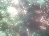 IMG_0154.jpg