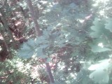 IMG_0156.jpg