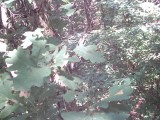 IMG_0157.jpg
