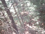 IMG_0158.jpg