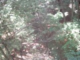 IMG_0159.jpg