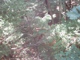 IMG_0161.jpg