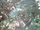 IMG_0163.jpg