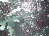 IMG_0164.jpg