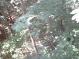 IMG_0165.jpg