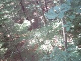 IMG_0166.jpg
