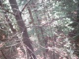 IMG_0167.jpg