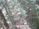 IMG_0168.jpg