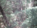 IMG_0170.jpg