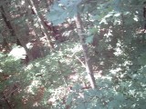 IMG_0172.jpg