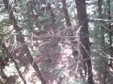 IMG_0173.jpg