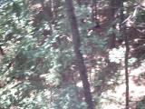 IMG_0174.jpg
