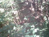 IMG_0175.jpg