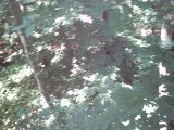 IMG_0176.jpg