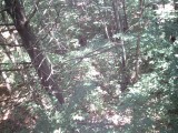 IMG_0177.jpg