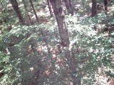 IMG_0178.jpg