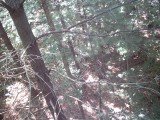 IMG_0179.jpg