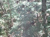 IMG_0180.jpg