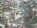 IMG_0181.jpg