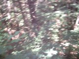 IMG_0182.jpg