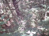 IMG_0183.jpg