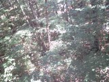 IMG_0184.jpg