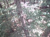 IMG_0185.jpg