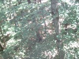 IMG_0186.jpg