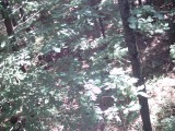 IMG_0187.jpg