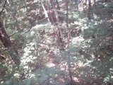 IMG_0188.jpg