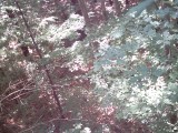 IMG_0190.jpg
