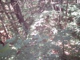 IMG_0191.jpg